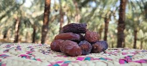 تصویر 1 از فروش خرما پیارم + قیمت خرید به صرفه